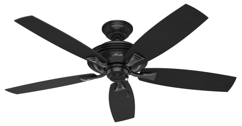 ceiling fan